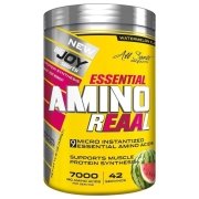 Big Joy Essential Amino Reaal 420 Gr Karpuz