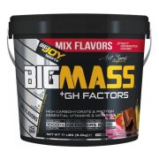 Big Joy Big Mass +GH Factors 5000 Gr Mix