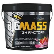 Big Joy Big Mass +GH Factors 5000 Gr Çilek