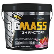 Big Joy Big Mass +GH Factors 5000 Gr Çilek