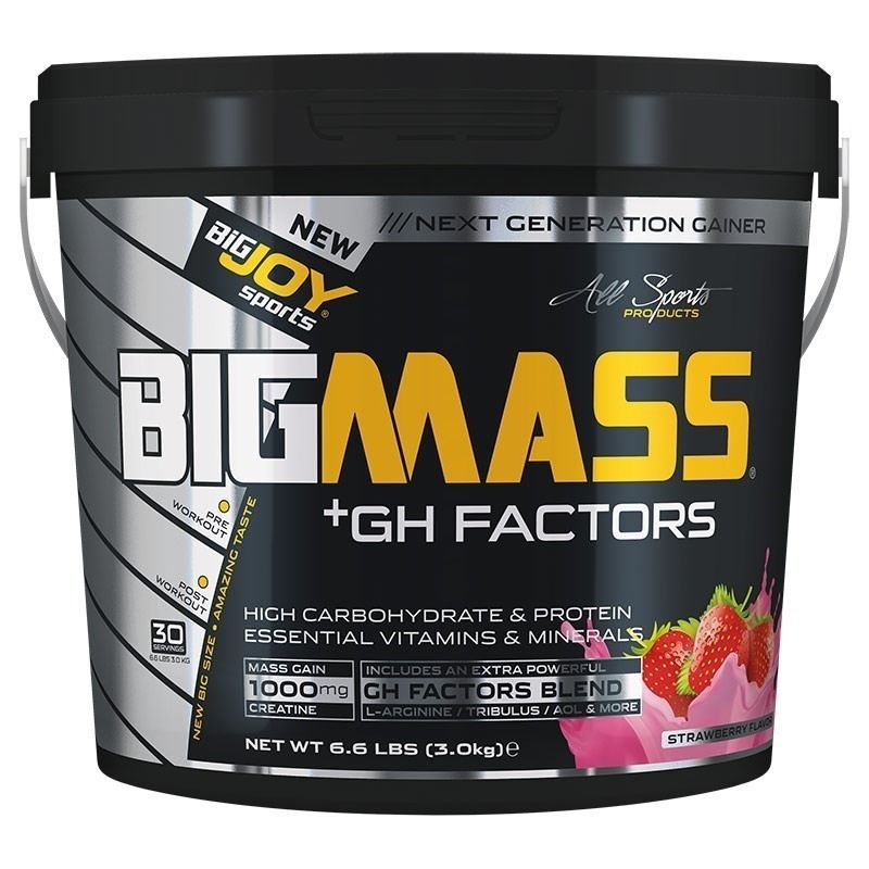 Big Joy Big Mass +GH Factors 3000 Gr Çilek